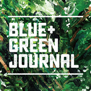 BLUE GREE JOURNAL