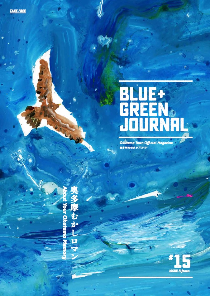 blue_green_journal_15