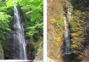 百尋の滝の周りが新緑の頃と、紅葉の頃が2枚並んだ写真