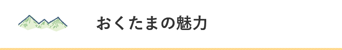 おくたまの魅力